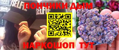 гидра Гатчина
