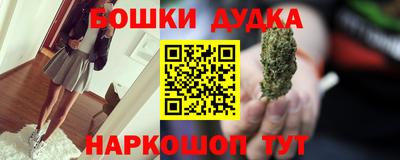 гидра Гатчина