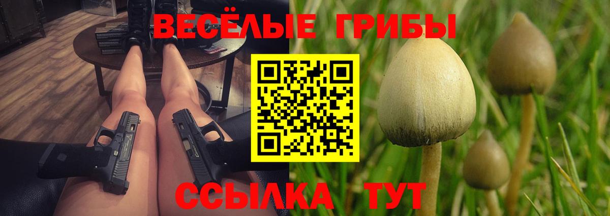 Подольск  Псилоцибиновые грибы Psilocybine cubensis  Вход с VPN 